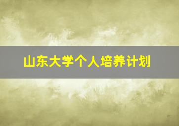 山东大学个人培养计划