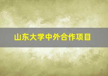 山东大学中外合作项目