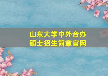 山东大学中外合办硕士招生简章官网