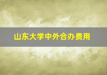 山东大学中外合办费用