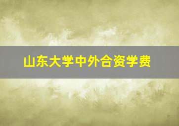 山东大学中外合资学费