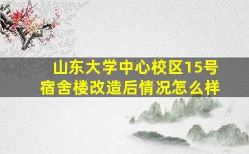 山东大学中心校区15号宿舍楼改造后情况怎么样