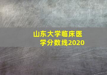 山东大学临床医学分数线2020