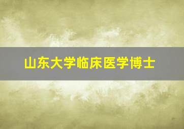 山东大学临床医学博士