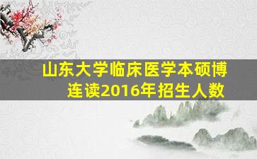 山东大学临床医学本硕博连读2016年招生人数