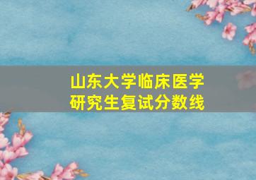 山东大学临床医学研究生复试分数线