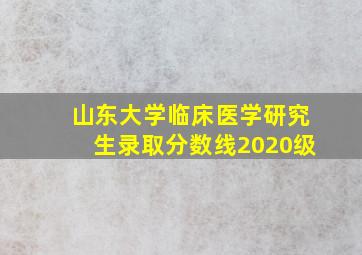 山东大学临床医学研究生录取分数线2020级