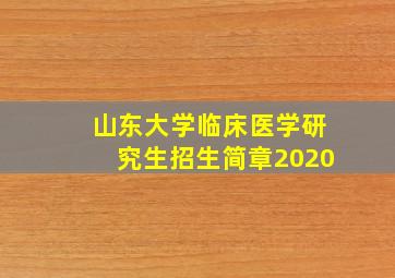 山东大学临床医学研究生招生简章2020