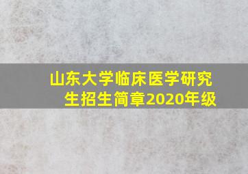 山东大学临床医学研究生招生简章2020年级