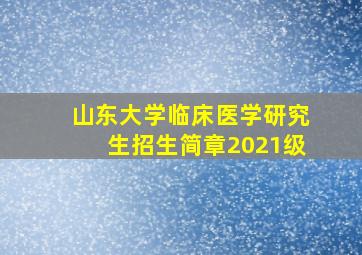 山东大学临床医学研究生招生简章2021级