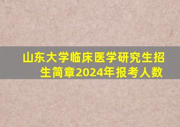 山东大学临床医学研究生招生简章2024年报考人数