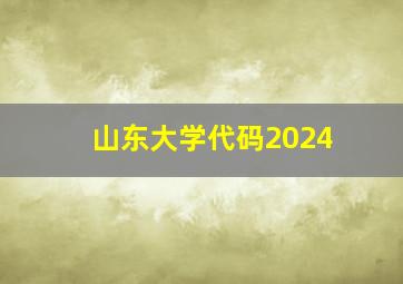 山东大学代码2024