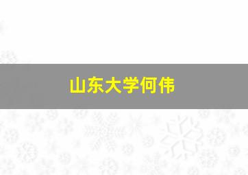 山东大学何伟