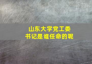 山东大学党工委书记是谁任命的呢