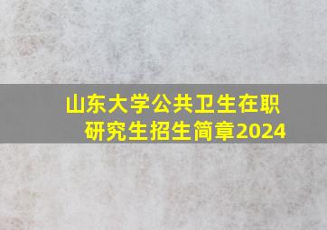 山东大学公共卫生在职研究生招生简章2024