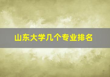 山东大学几个专业排名