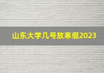 山东大学几号放寒假2023