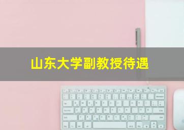 山东大学副教授待遇