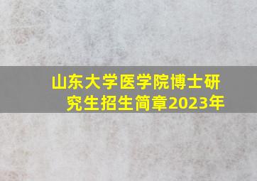 山东大学医学院博士研究生招生简章2023年