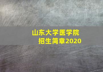 山东大学医学院招生简章2020