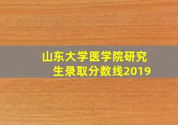 山东大学医学院研究生录取分数线2019