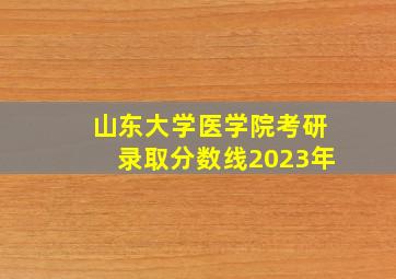 山东大学医学院考研录取分数线2023年