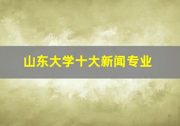 山东大学十大新闻专业