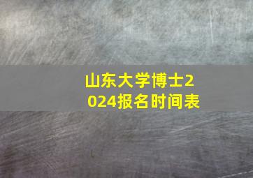 山东大学博士2024报名时间表