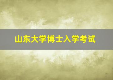 山东大学博士入学考试