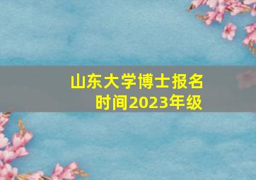 山东大学博士报名时间2023年级