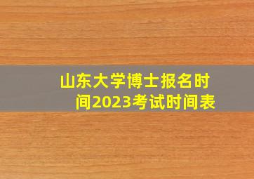 山东大学博士报名时间2023考试时间表