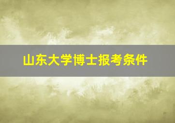 山东大学博士报考条件