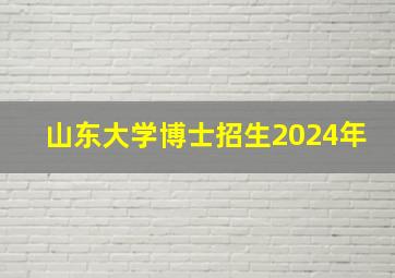 山东大学博士招生2024年