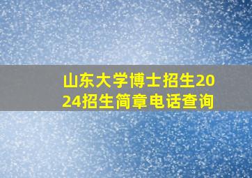 山东大学博士招生2024招生简章电话查询