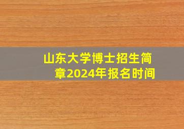 山东大学博士招生简章2024年报名时间