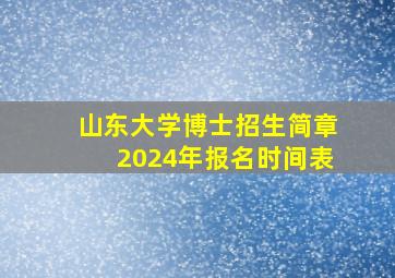 山东大学博士招生简章2024年报名时间表