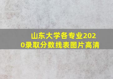 山东大学各专业2020录取分数线表图片高清