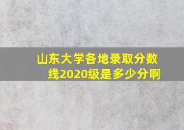 山东大学各地录取分数线2020级是多少分啊