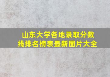 山东大学各地录取分数线排名榜表最新图片大全