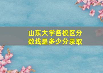 山东大学各校区分数线是多少分录取