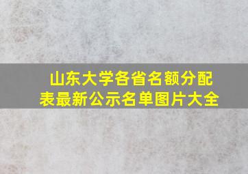 山东大学各省名额分配表最新公示名单图片大全