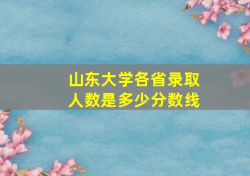 山东大学各省录取人数是多少分数线