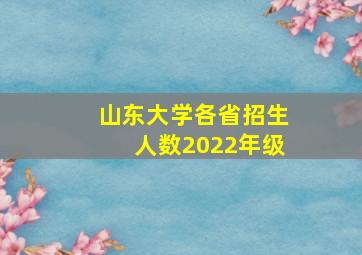 山东大学各省招生人数2022年级