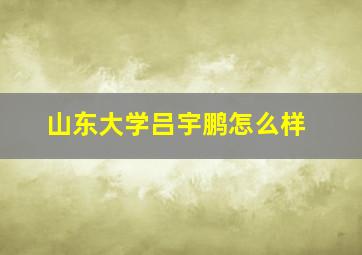 山东大学吕宇鹏怎么样