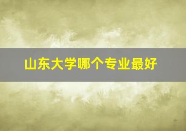 山东大学哪个专业最好