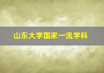 山东大学国家一流学科