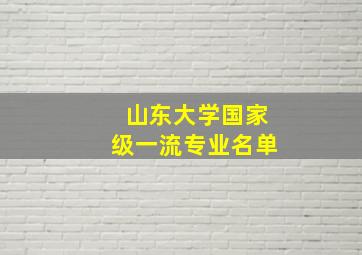 山东大学国家级一流专业名单