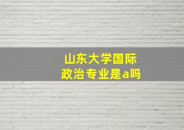 山东大学国际政治专业是a吗