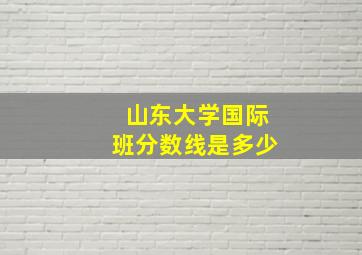 山东大学国际班分数线是多少