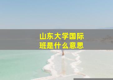 山东大学国际班是什么意思